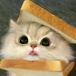Supermoon